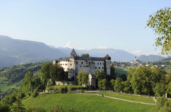 residence seiser alm suedtirol (4)