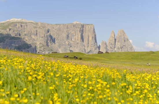 residence seiser alm suedtirol (5)